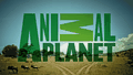 Animal Planet